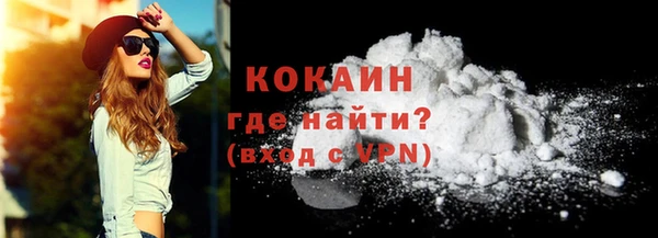 индика Валдай