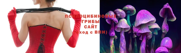 меф Новодвинск