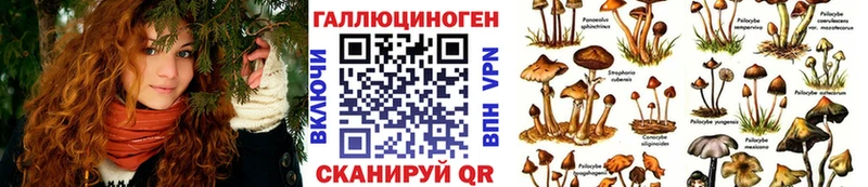 цена   Ужур  Галлюциногенные грибы GOLDEN TEACHER 